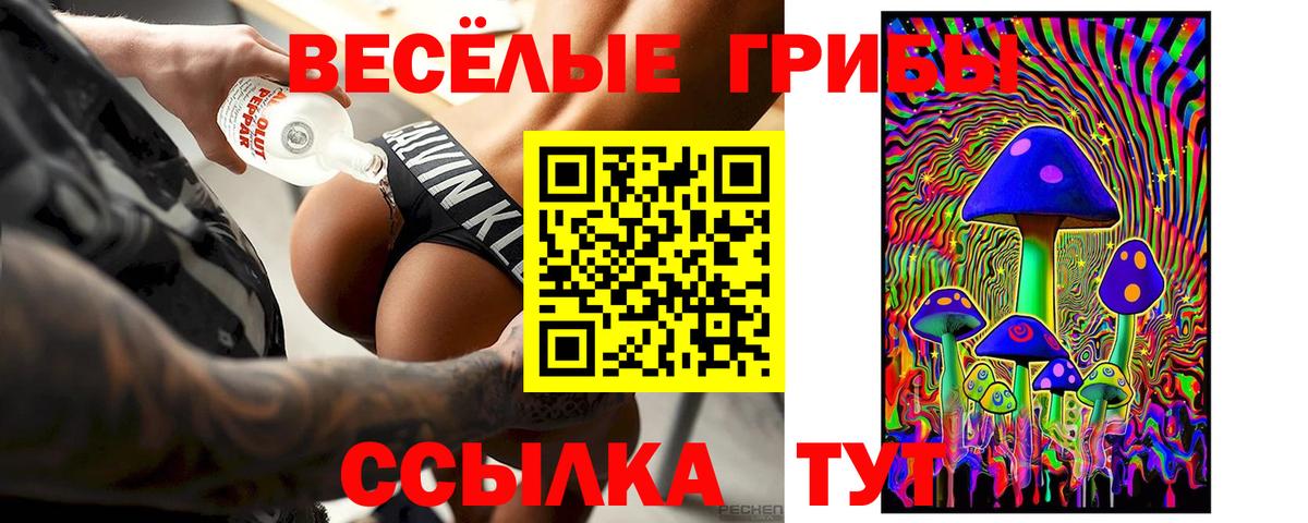 Коломна  Галлюциногенные грибы Psilocybine cubensis  Вход с VPN  Псилоцибиновые грибы мицелий 